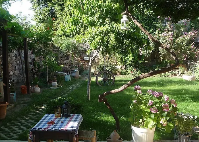 Istanbul 招待所 2*